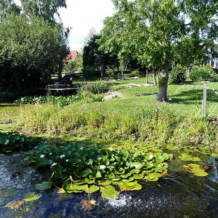 "Balmgarten" Im Naturpark Usedom, Bio Solarhaus Mit Grossem Garten Exterior photo