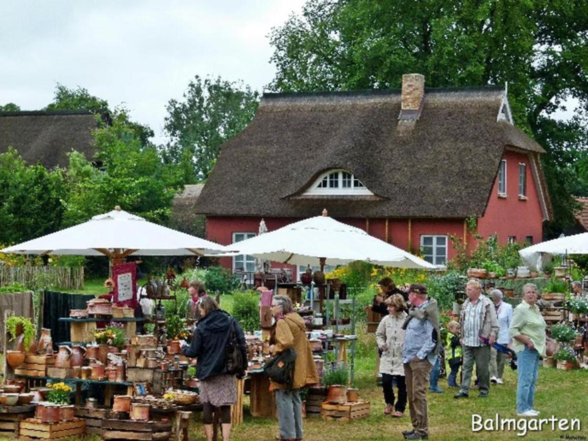 "Balmgarten" Im Naturpark Usedom, Bio Solarhaus Mit Grossem Garten Exterior photo