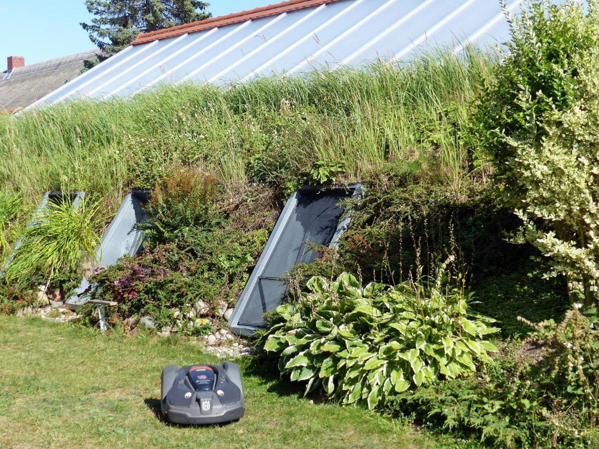 "Balmgarten" Im Naturpark Usedom, Bio Solarhaus Mit Grossem Garten Exterior photo