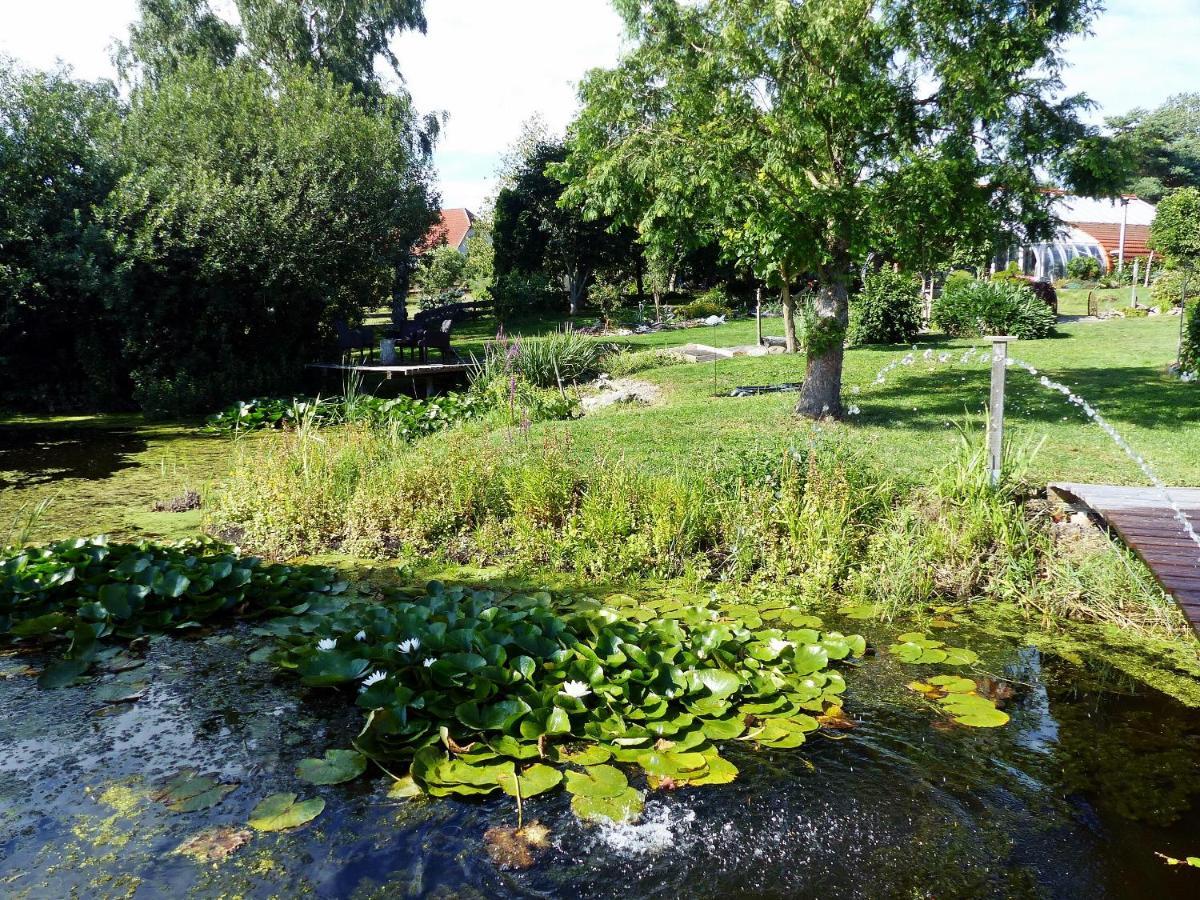 "Balmgarten" Im Naturpark Usedom, Bio Solarhaus Mit Grossem Garten Exterior photo